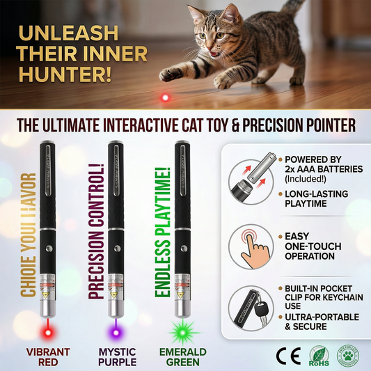 Mini 2-in-1 Cat Laser Pointer Keychain Training Toy