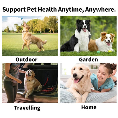 Disposable Pet Finger Toothbrush Wipes for Oral Care