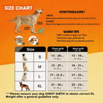 Ultimate Control Dog Harness