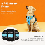 Ultimate Control Dog Harness