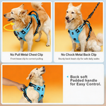 Ultimate Control Dog Harness