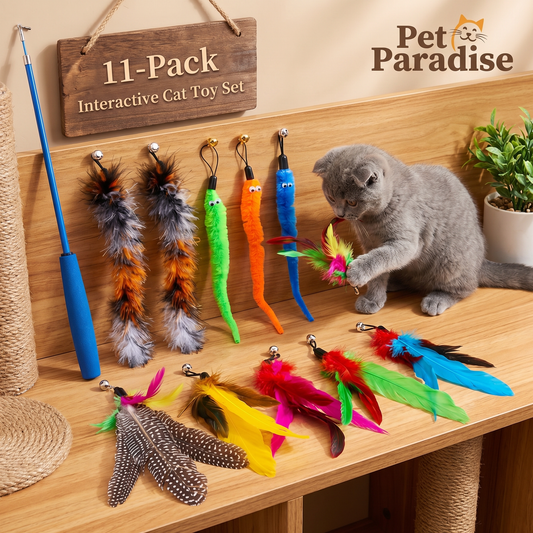 Cat Feather Toy (11 Pack)