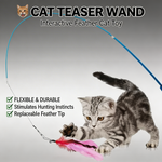 Cat Feather Toys