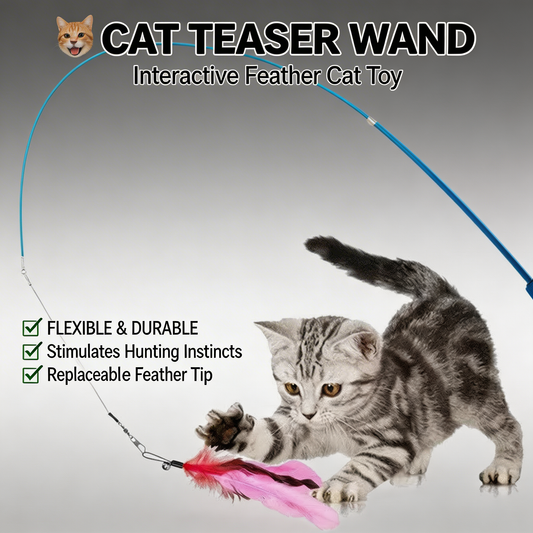 Cat Feather Toy (11 Pack)