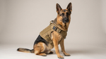Tactical Dog Harness Set With Leash And Collar