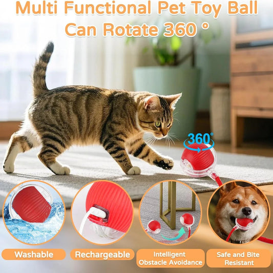 Dog & Cat Interactive Ball Toy (2 Pack)