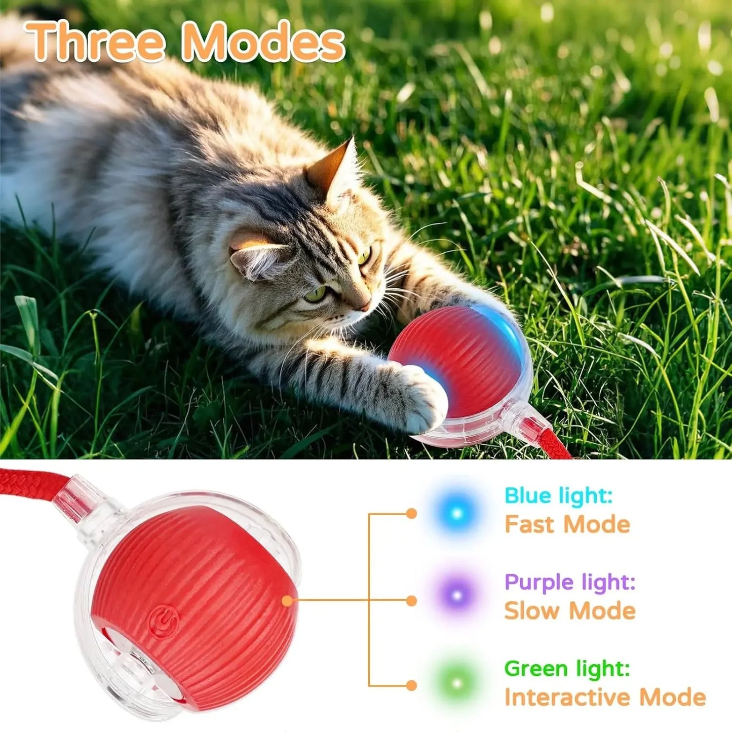 Dog & Cat Interactive Ball Toy (2 Pack)