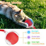 Dog & Cat Interactive Ball Toy