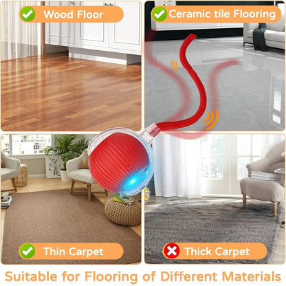 Dog & Cat Interactive Ball Toy (2 Pack)