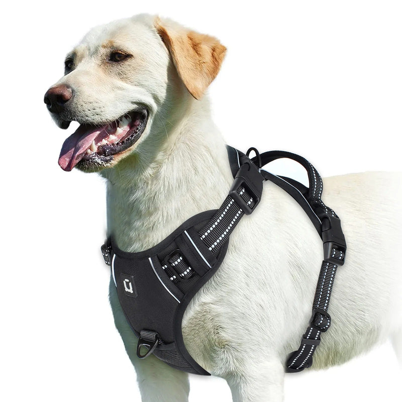 Ultimate Control Dog Harness