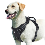Ultimate Control Dog Harness